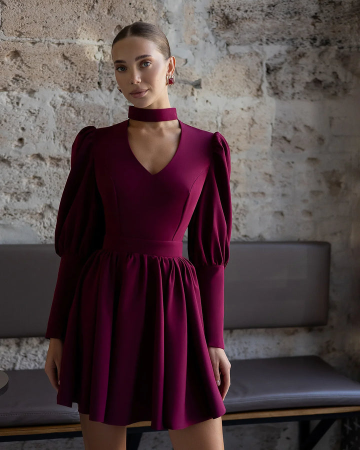 Amarah Burgundy Mini Dress
