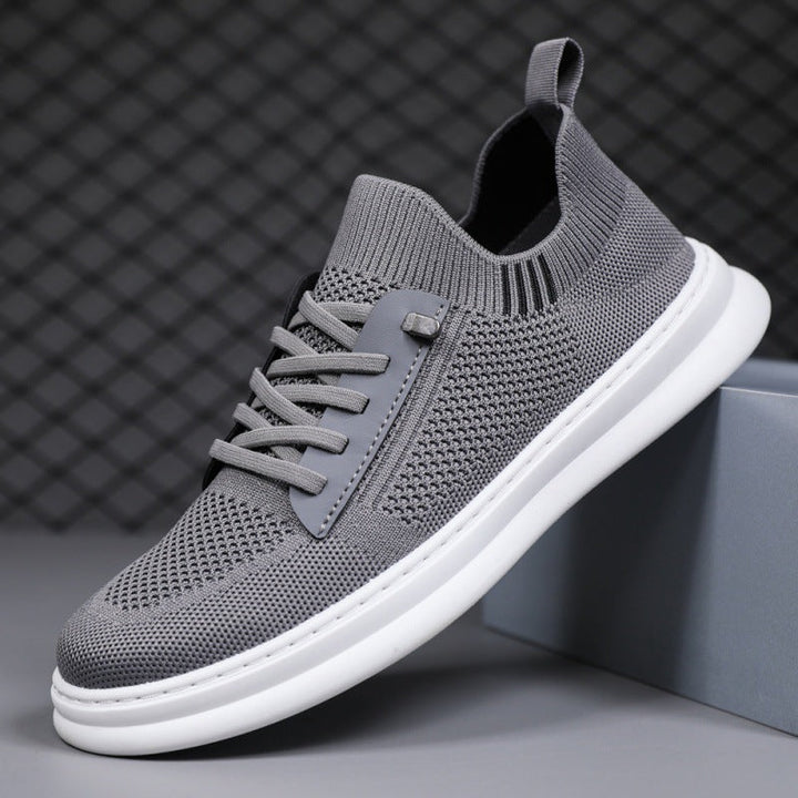 Zócalo – Sneakers 2025