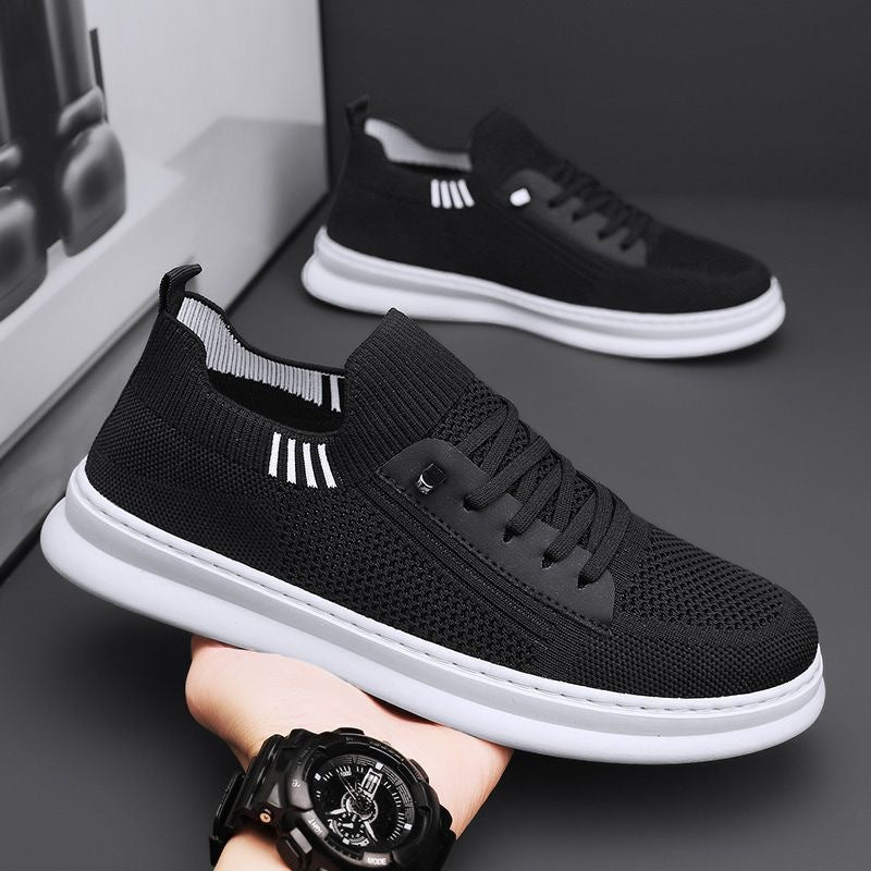Zócalo – Sneakers 2025