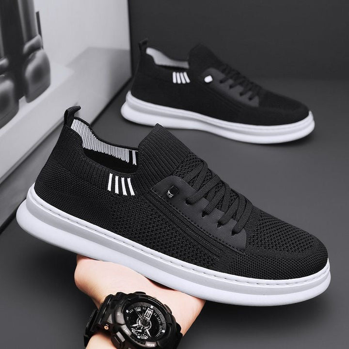Zócalo – Sneakers 2025