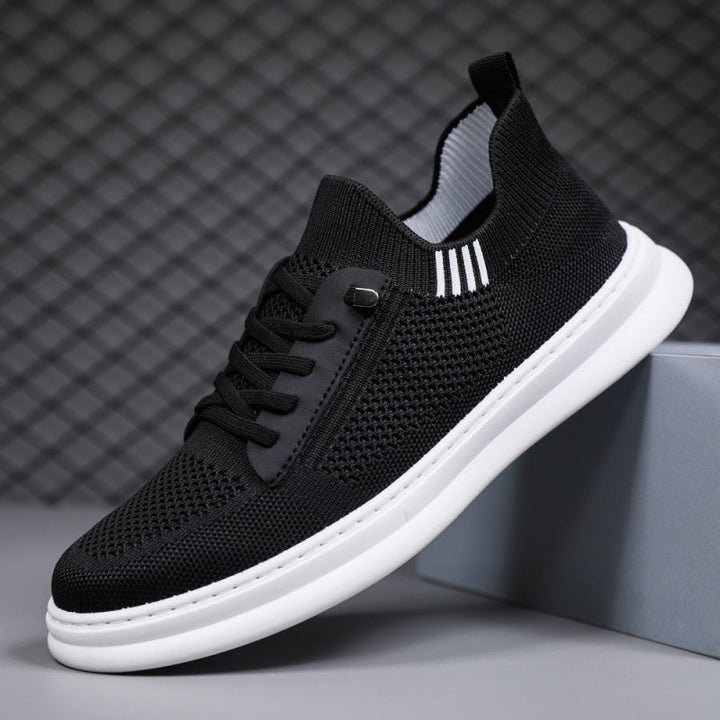 Zócalo – Sneakers 2025
