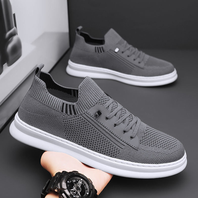Zócalo – Sneakers 2025